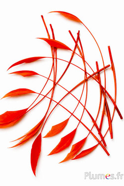 Gans Pfeil - 10-15 cm - blutorange
